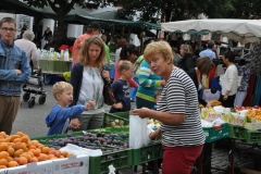 Steinhoegl Katrin: Am Markt