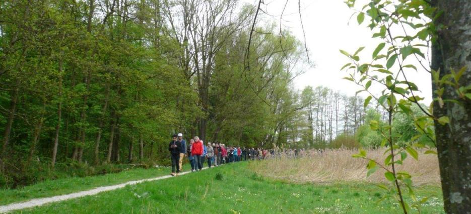 HatschenRatschen 5.0 Steininger Michaela (9)